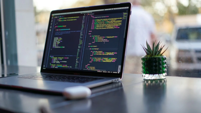When Should a Business Replace Spreadsheets with Custom Software?